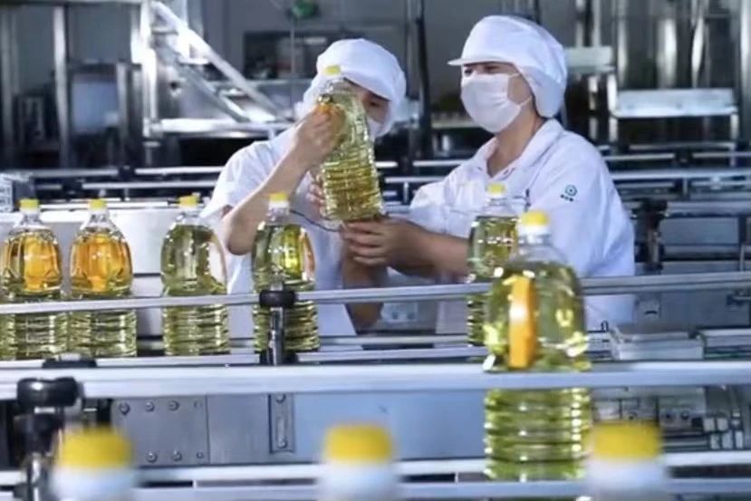 J9集团|国际站官网